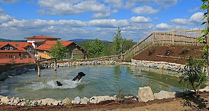 Hundebadeteich im hundefreundlichen Wellnesshotel im Bayerischen Wald